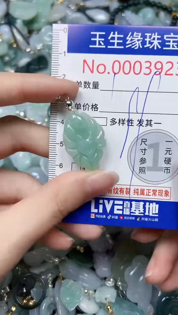 【闪购商品】翡翠颈饰未镶嵌闪购00003923