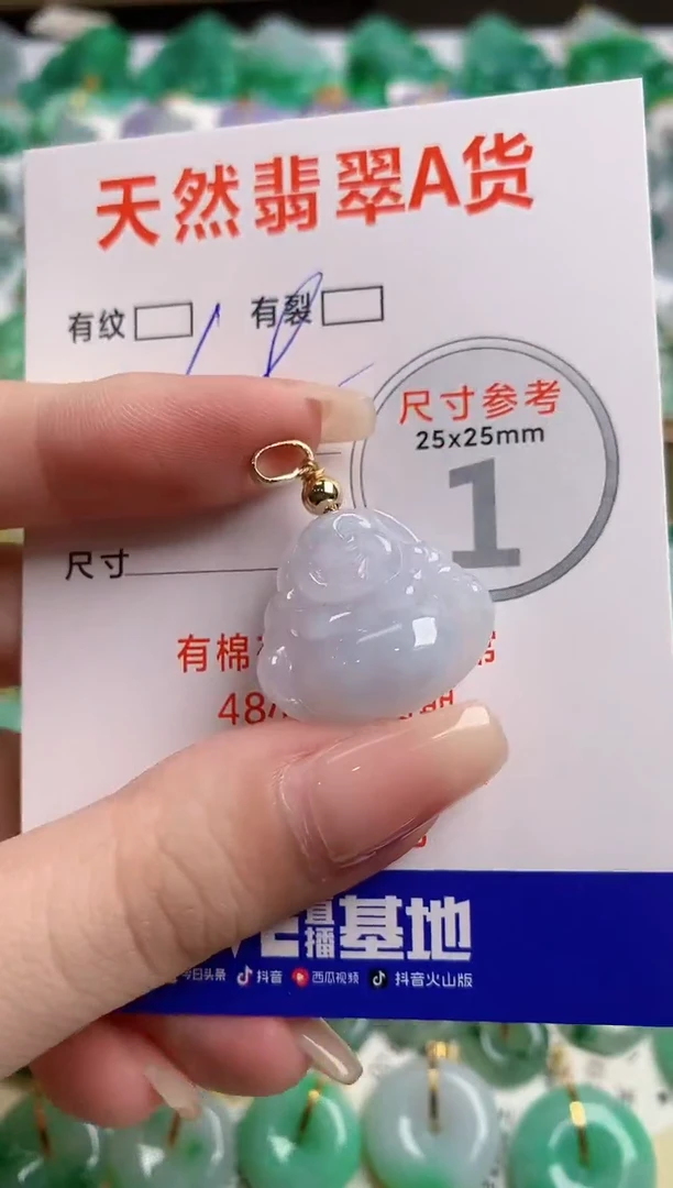 翡翠未镶嵌颈饰24000382