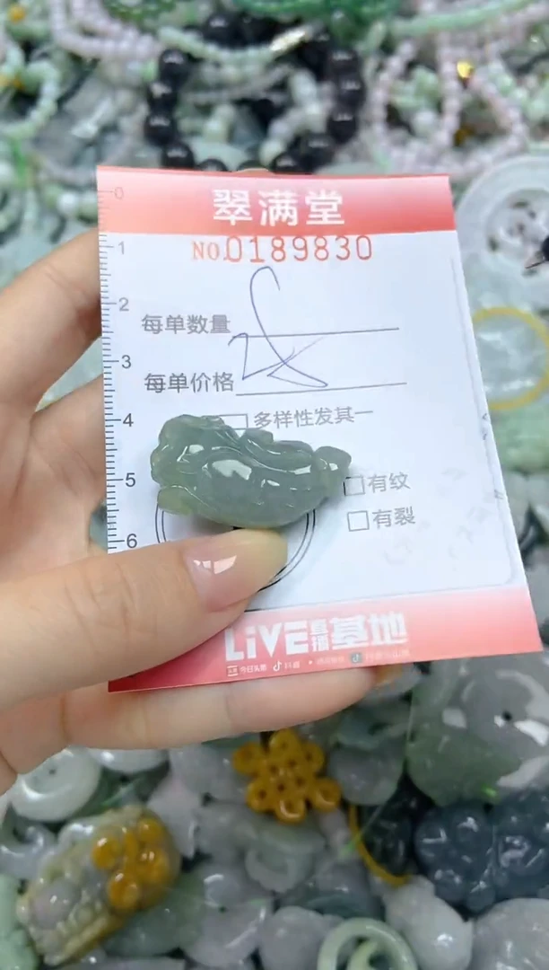 颈饰未镶嵌翡翠闪购0189830