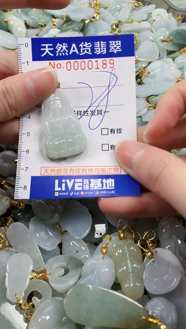 颈饰未镶嵌翡翠纯天然a货翡翠