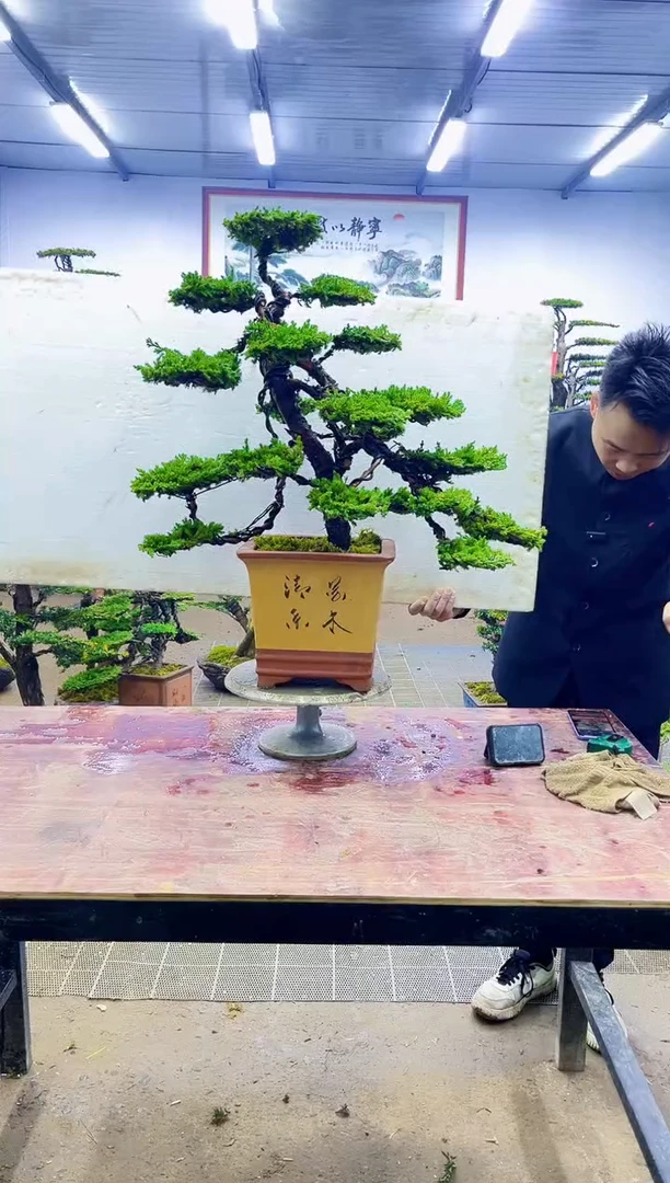 【闪购商品】一物一拍，所见即所得