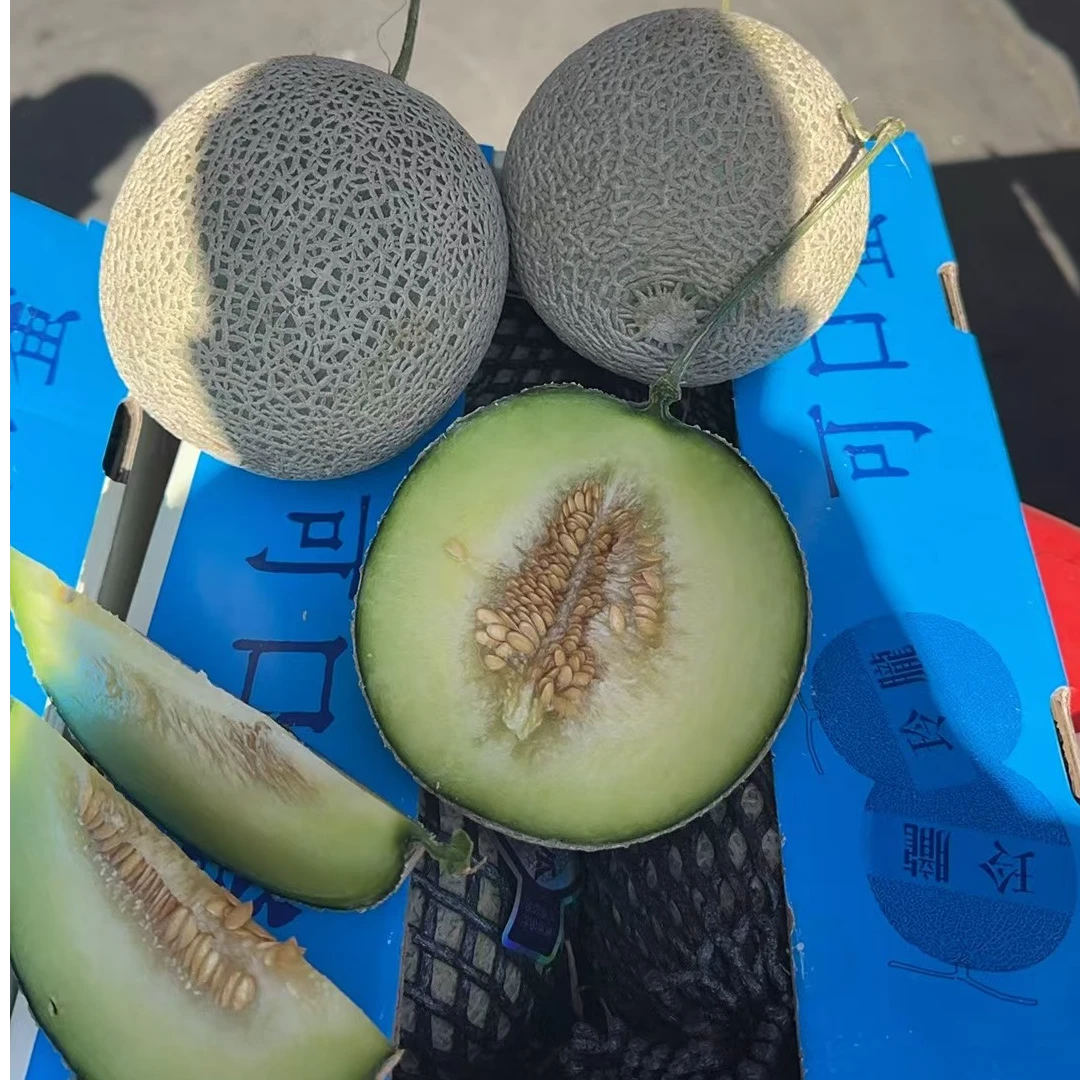 【高兴优选】孙蜜 海南网纹瓜牛3【2粒4斤-4.5斤】【顺丰次日达】