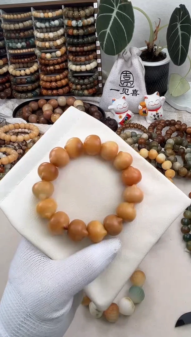 菩提根/象牙果手串a310卡19 干磨