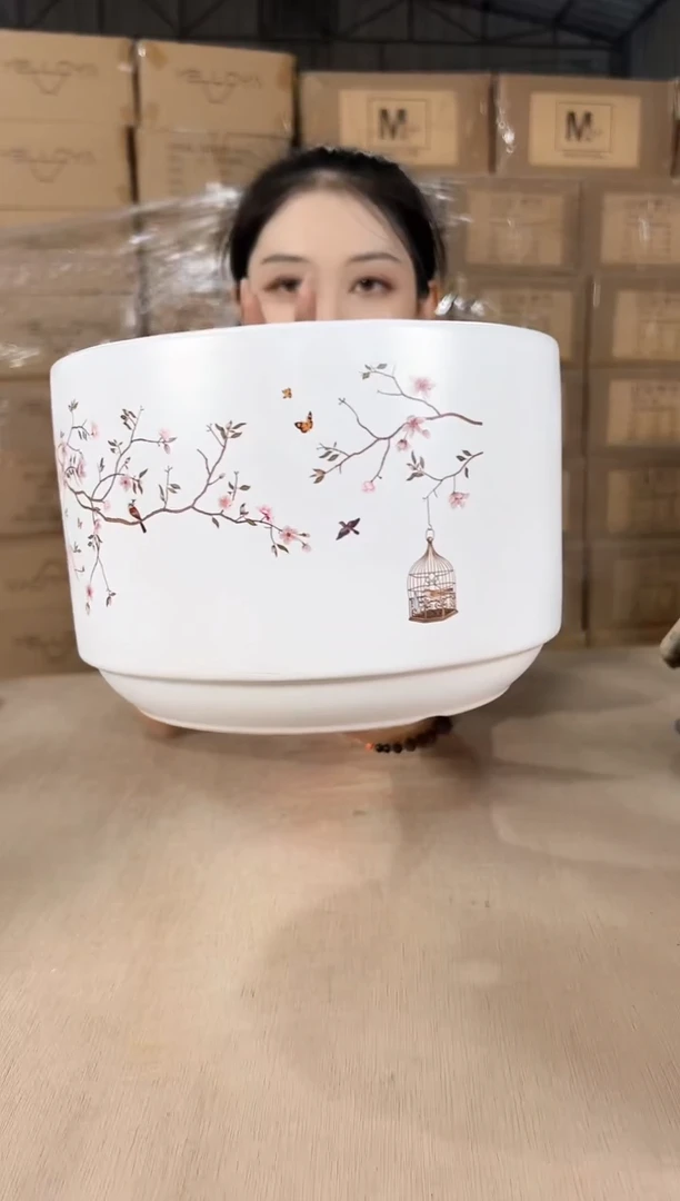 蝴蝶兰鸟笼白色中号21x15
