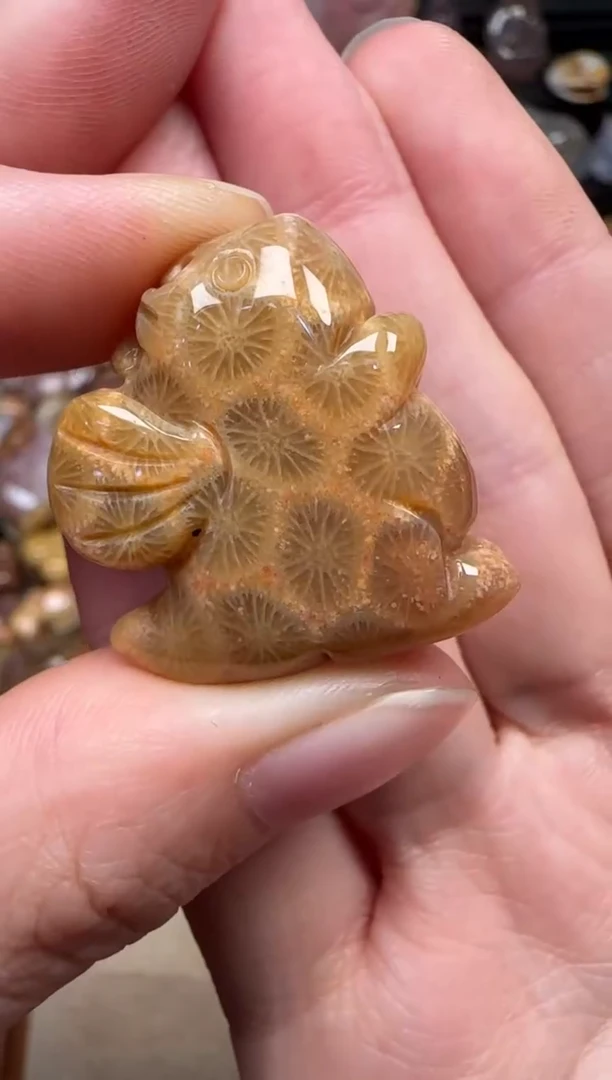 颈饰未镶嵌硅化珊瑚（珊瑚玉）641