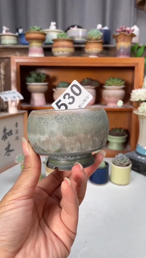 瓷片530小芳直播编号