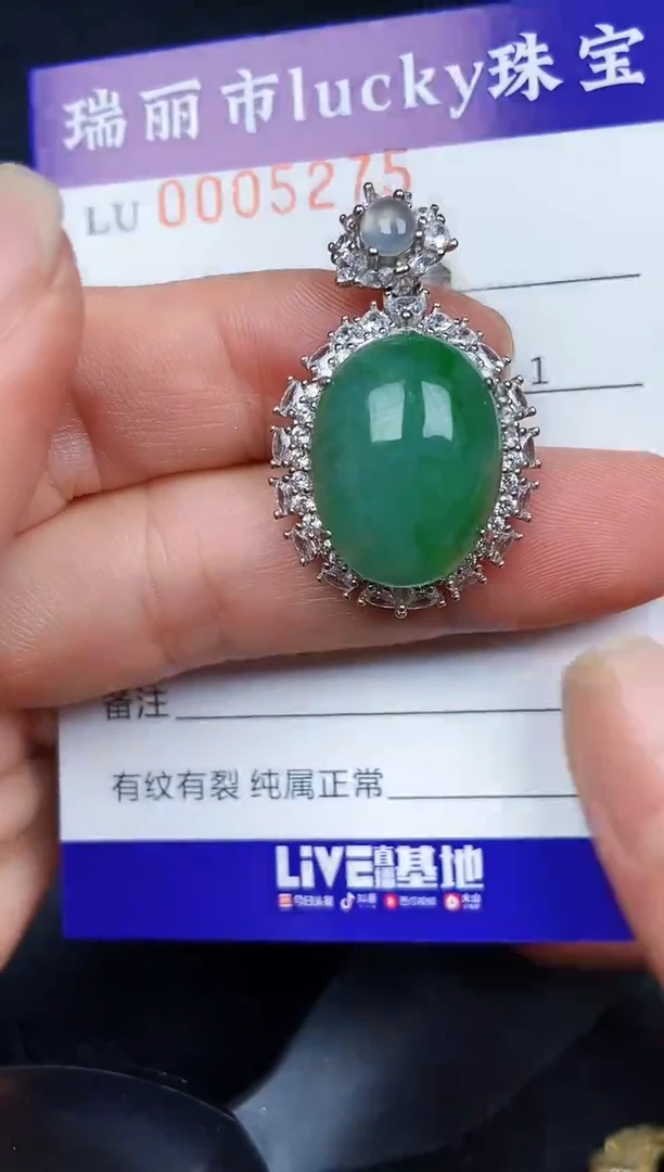 翡翠银S925镶嵌颈饰5275