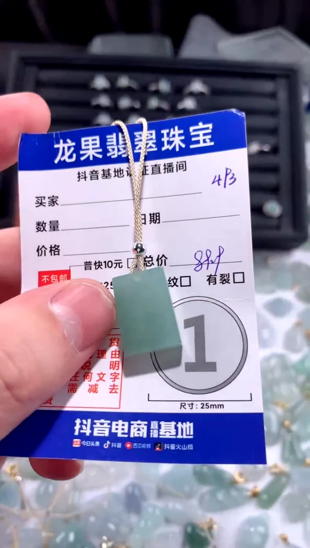 【闪购商品】翡翠颈饰未镶嵌无事牌493
