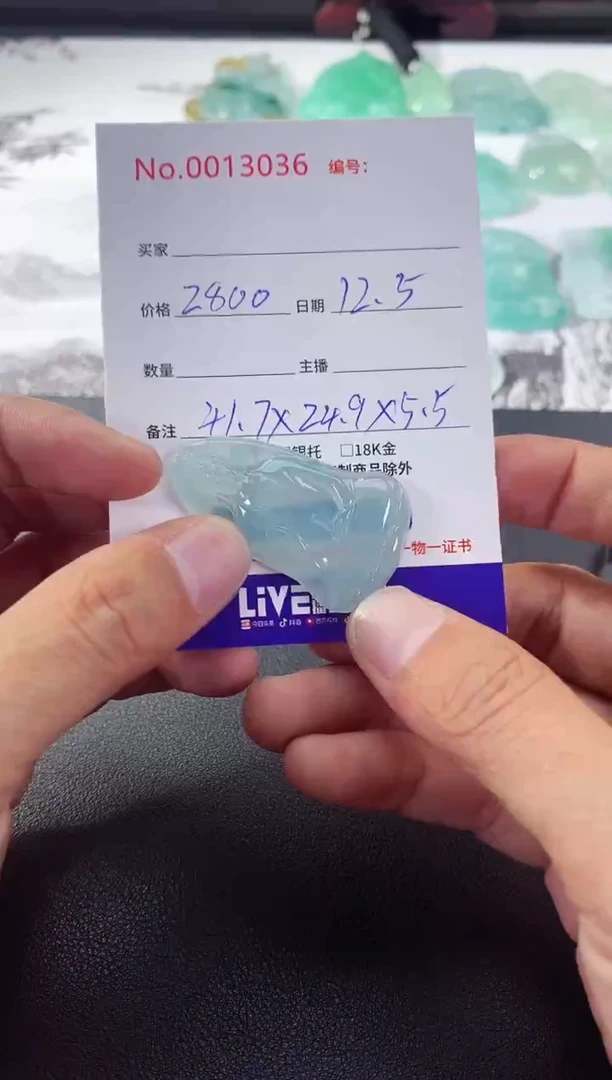 颈饰未镶嵌翡翠素衣