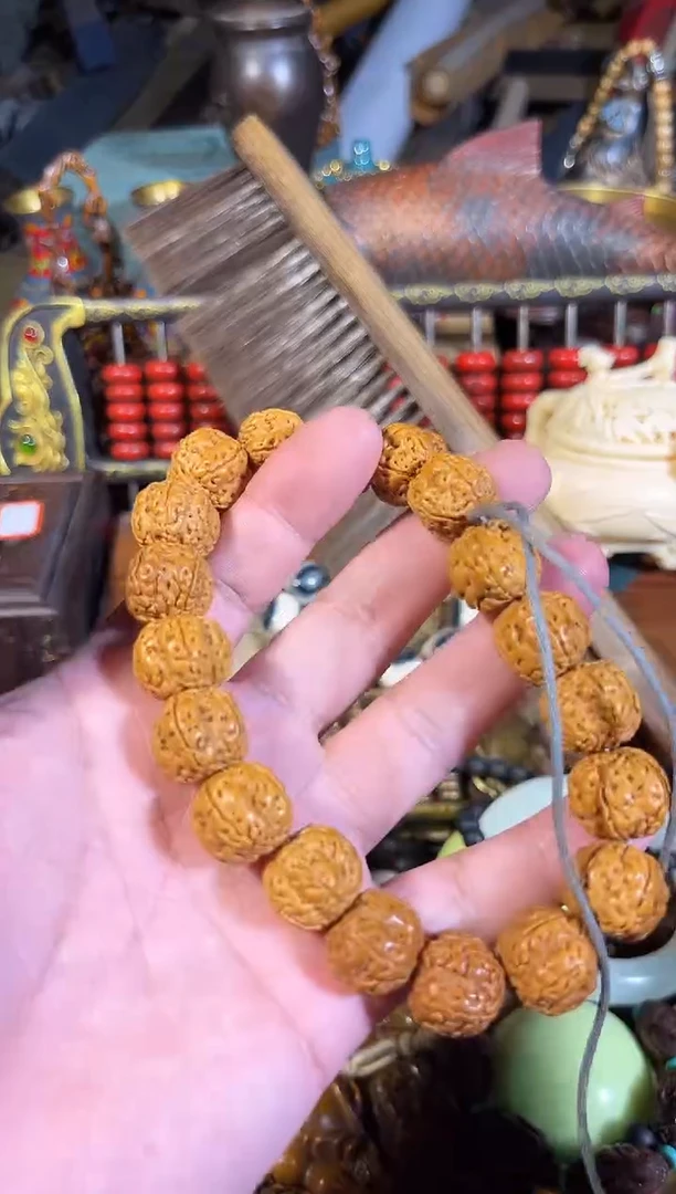 黄杨木11111111111111111111