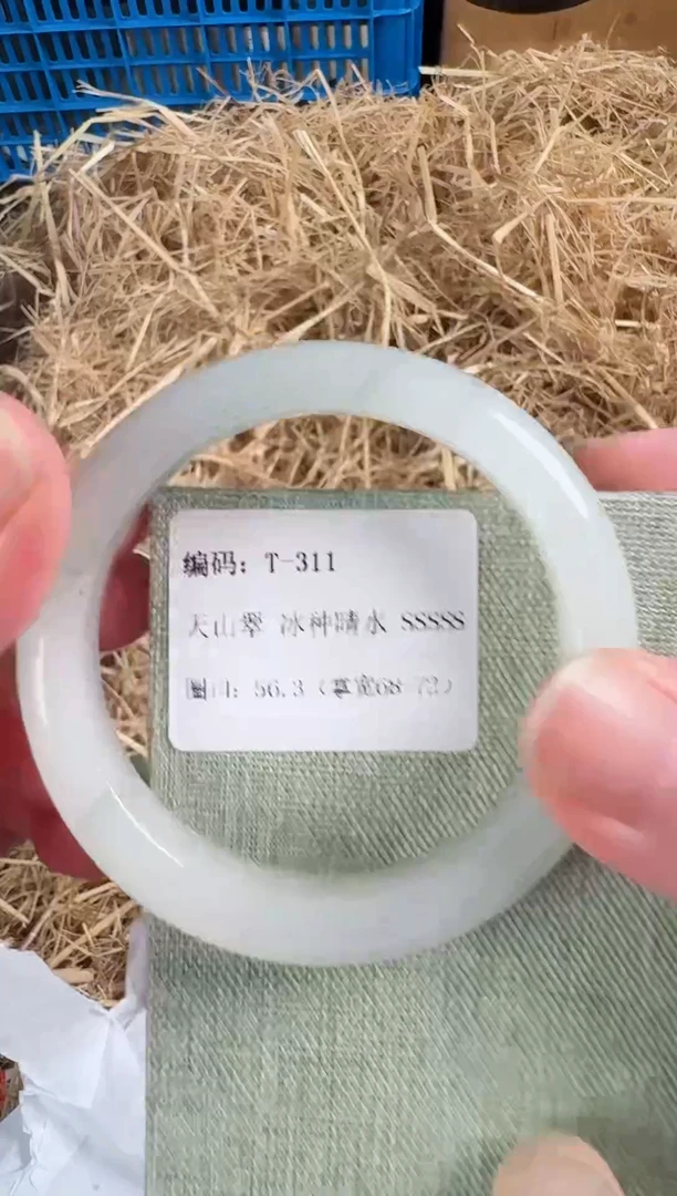 未镶嵌手镯石英质玉T-311