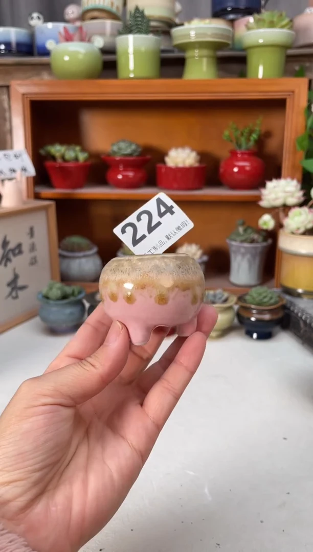 瓷片224小芳直播编码