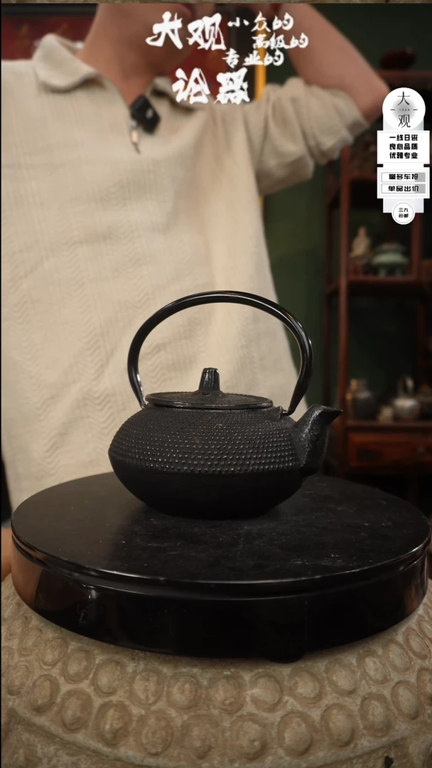 【闪购商品】瓷片大观论器铁壶