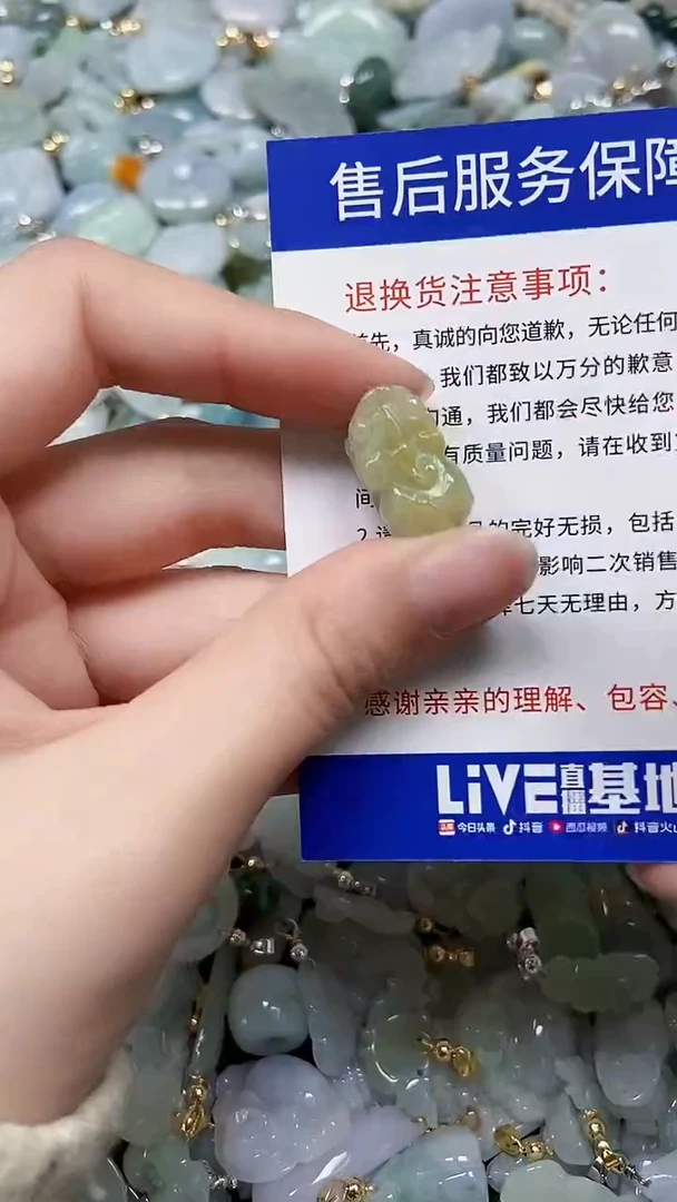 【闪购商品】翡翠颈饰未镶嵌闪购00008577