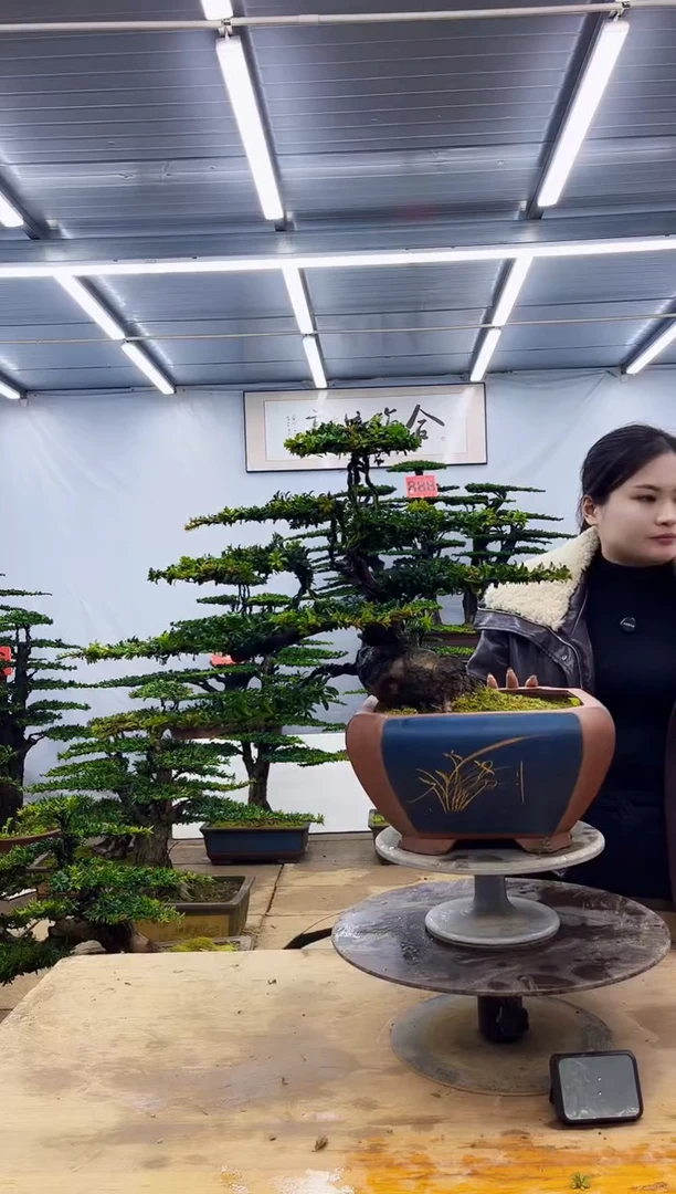 无花朵一物一拍，所见即所得