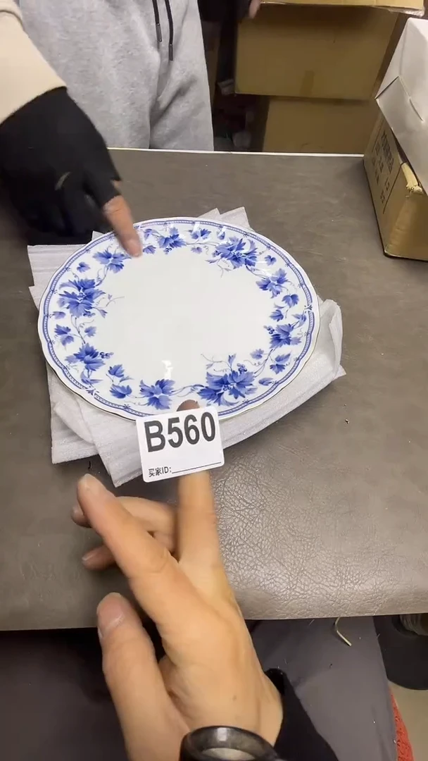 瓷片默认微瑕，谨慎参拍B560盘子两只