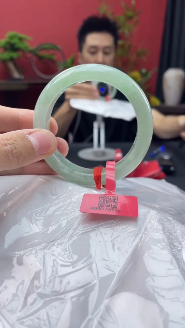 未镶嵌手镯翡翠7