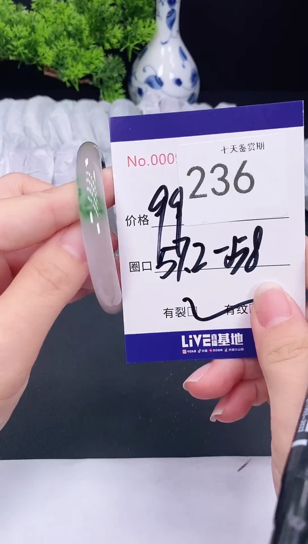 未镶嵌手镯翡翠236