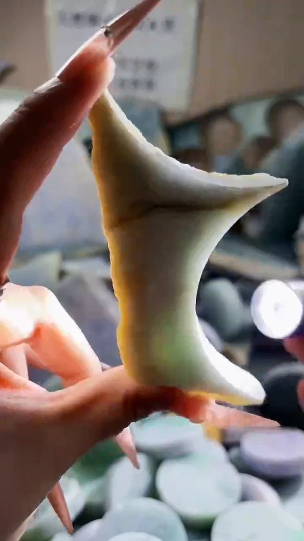 翡翠未镶嵌颈饰翡翠A货 江谭630