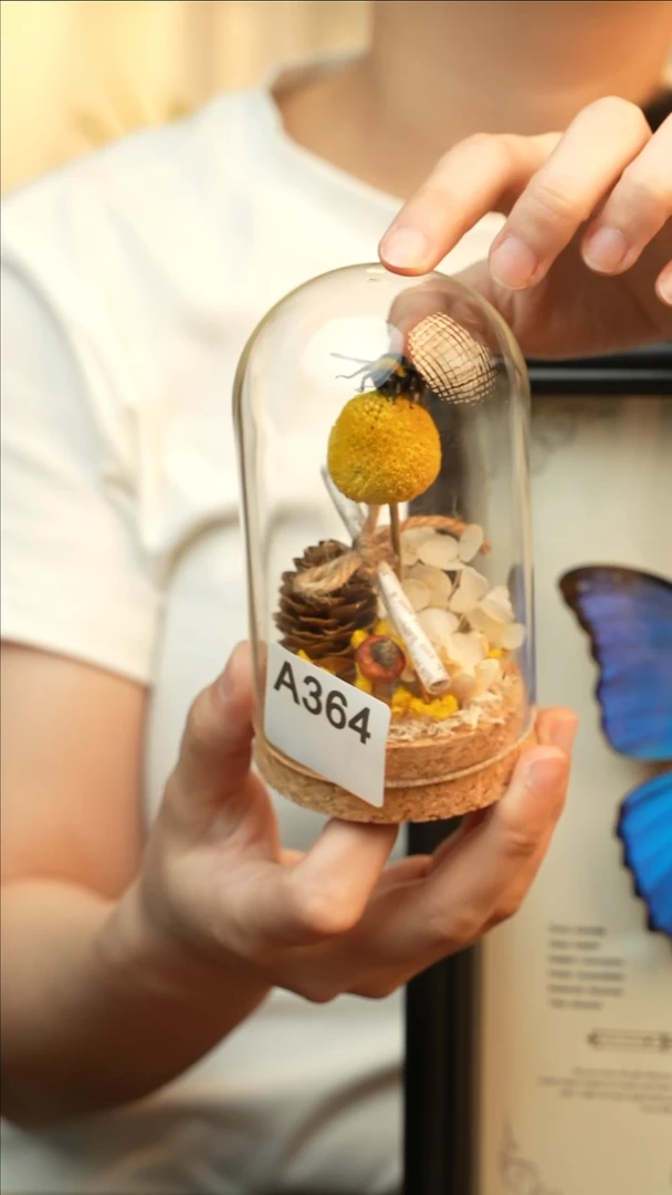 熊蜂造景玻璃罩款A364