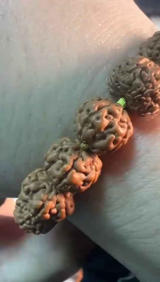 【闪购商品】金刚菩提手串红皮一级六瓣麒麟纹长串