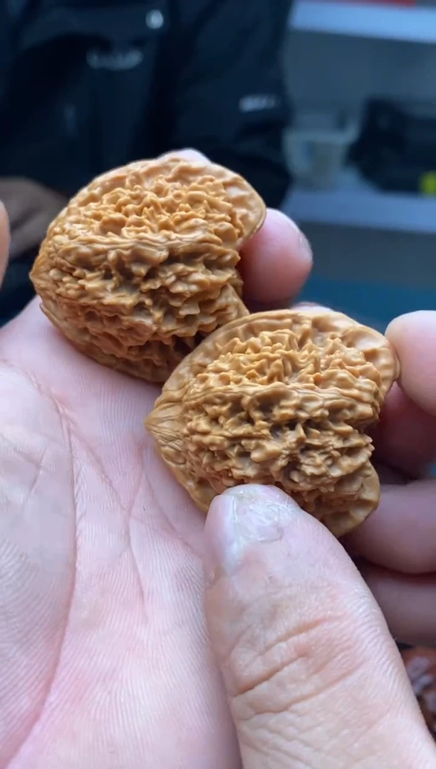 把件文玩核桃满天星天残脚793
