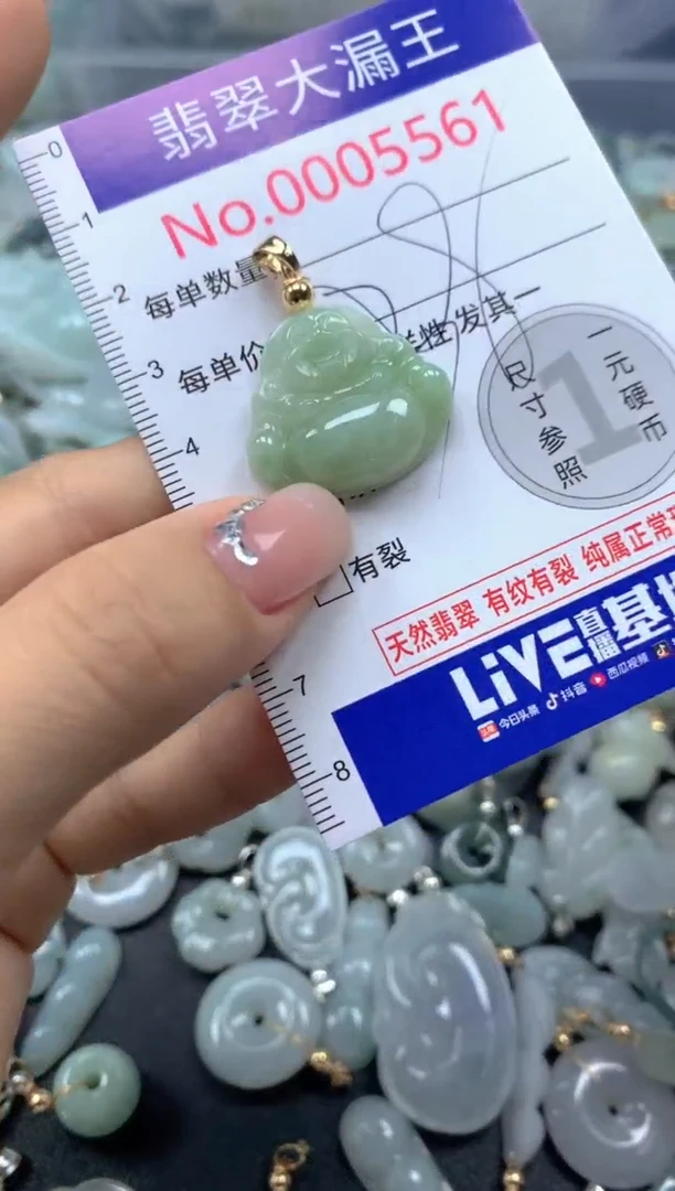 颈饰未镶嵌翡翠5561