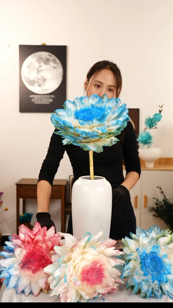 永生花 霸王花 A44