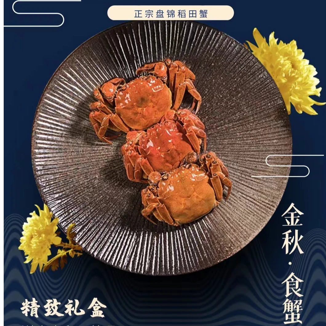 活蟹盘锦稻田蟹0.9-1.1两 母蟹2斤3斤20只左右