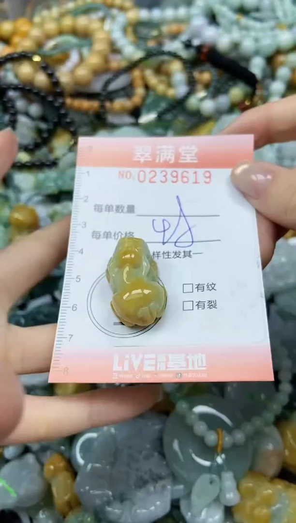 颈饰未镶嵌翡翠闪购0239619