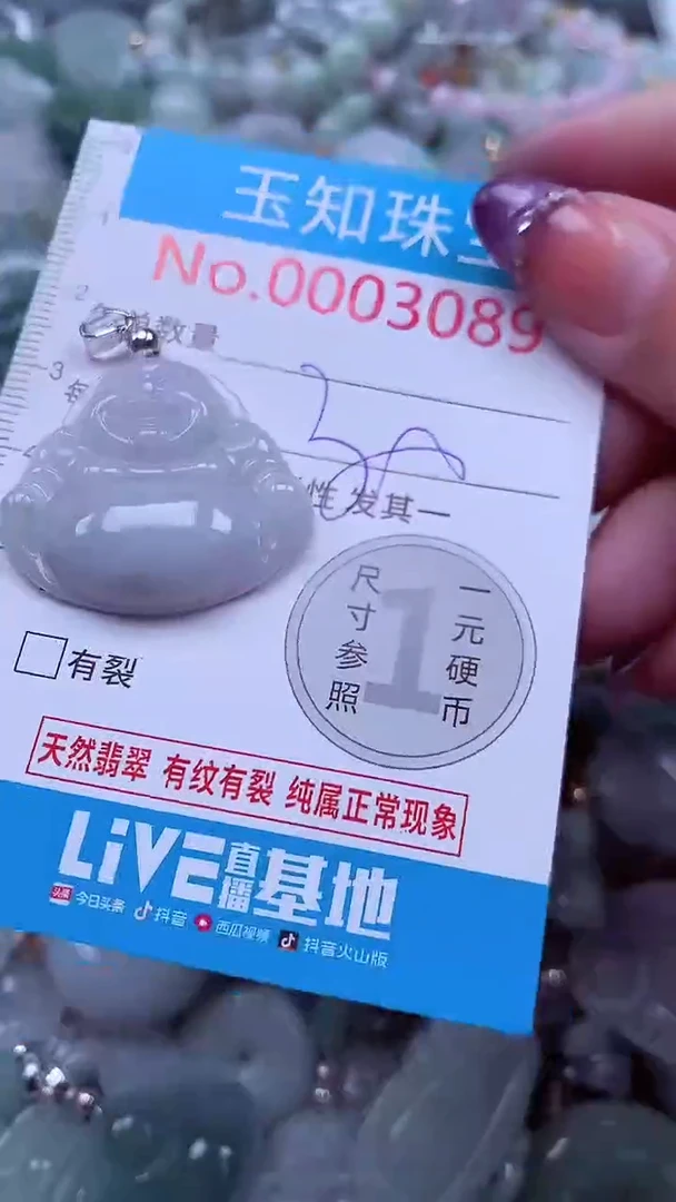 翡翠未镶嵌吊坠(不含链)3089