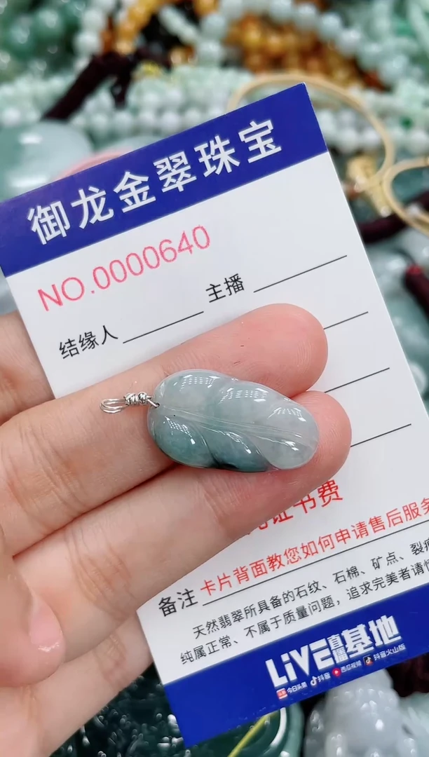 翡翠未镶嵌颈饰048