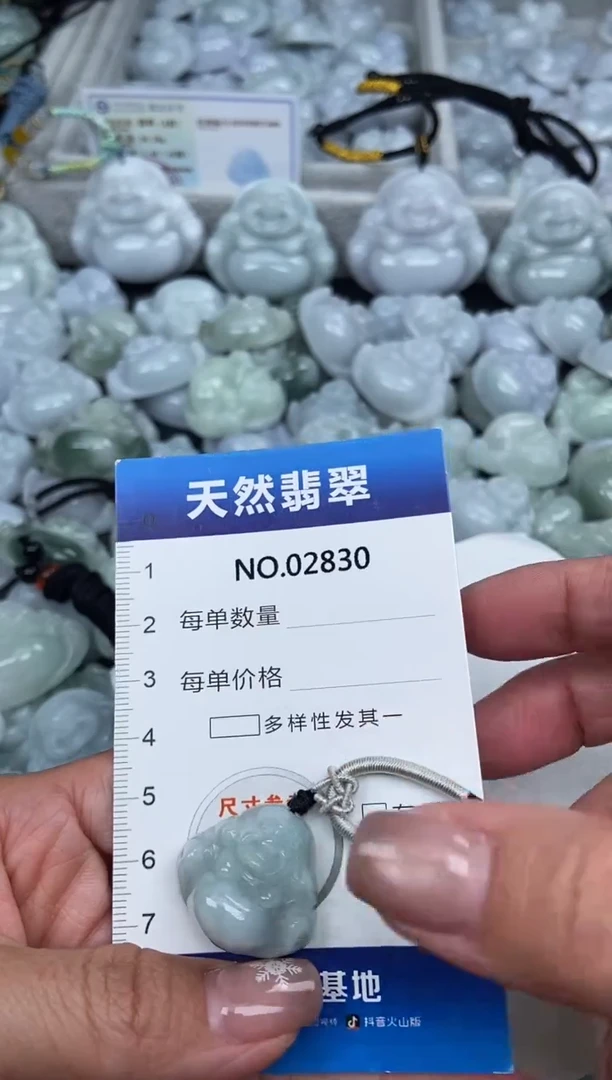 颈饰未镶嵌翡翠纯天然A货翡翠2830