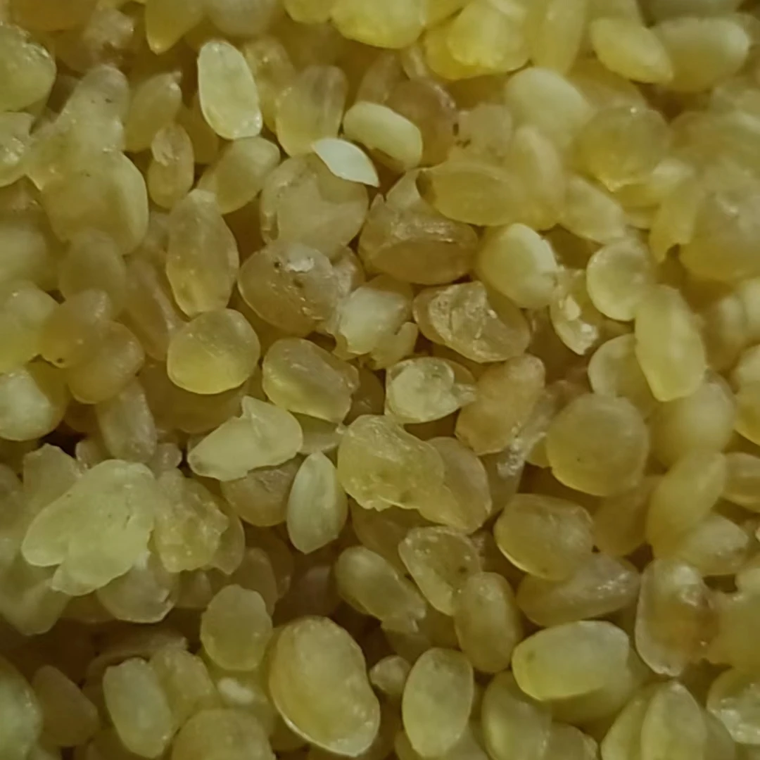 【阿海精选】土特产皂角米