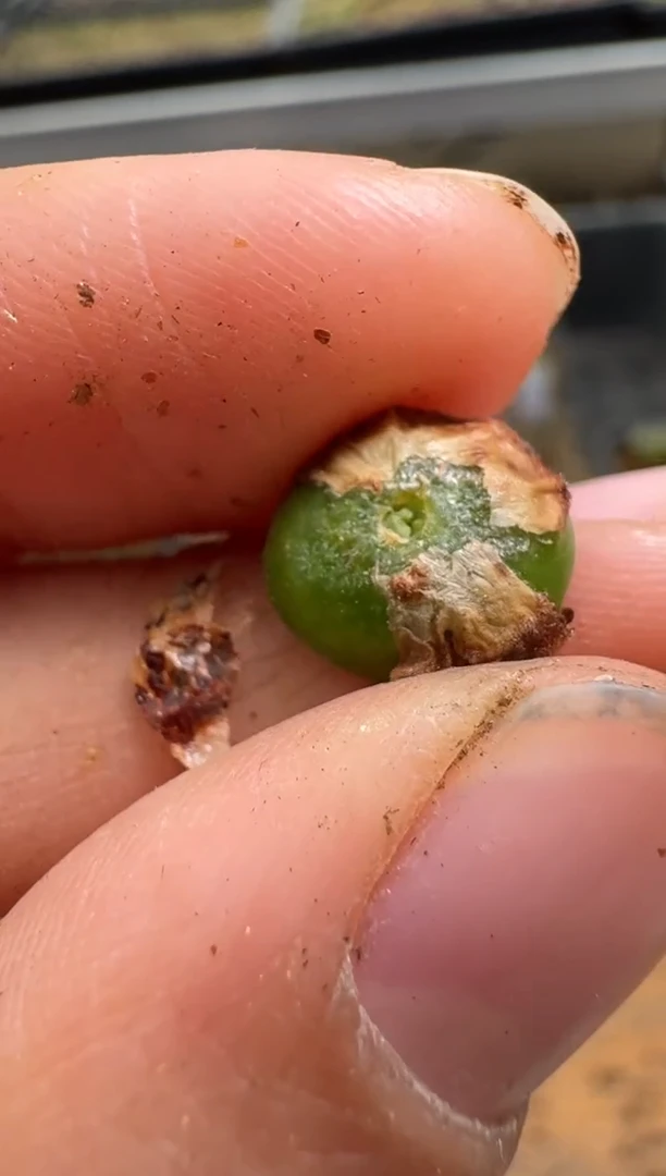 【闪购商品】1/22-100