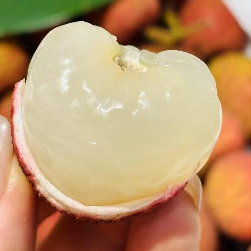 【顺丰现货】海南荔枝当季海南热带新鲜水果妃子笑荔枝4-5斤多仓发