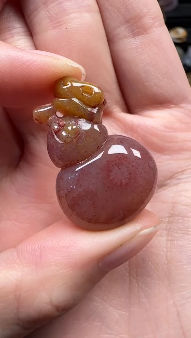 颈饰未镶嵌硅化珊瑚（珊瑚玉）435