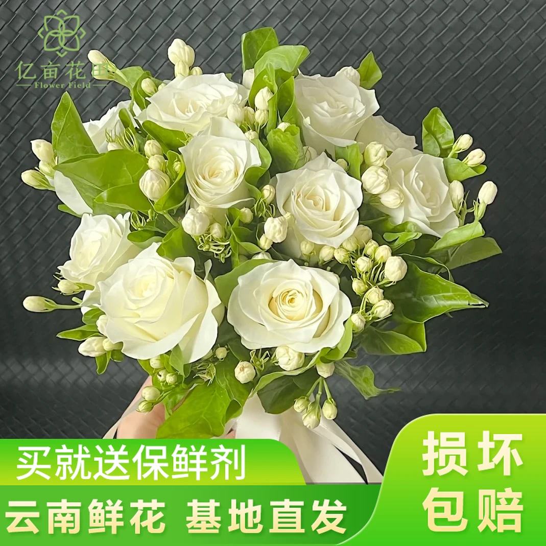 【超值鲜花套餐】骄傲10支+茉莉1扎全店任意两件升级顺丰送货上门白