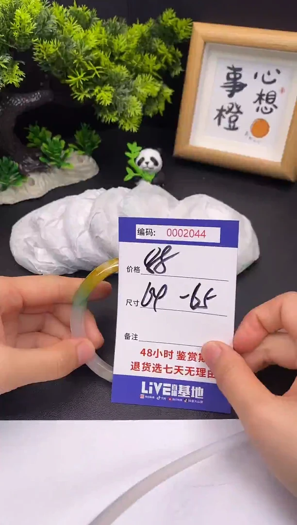 未镶嵌手镯翡翠0002044