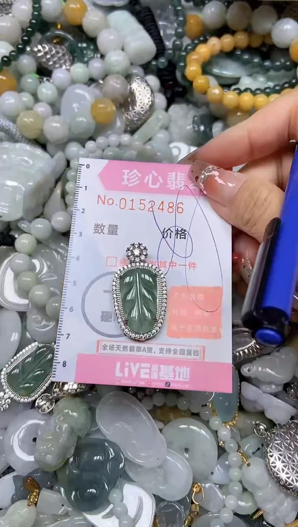 【闪购商品】翡翠颈饰未镶嵌闪购链接0152486