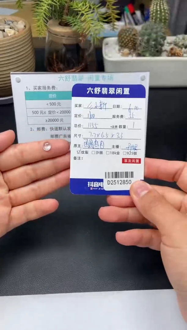 翡翠未镶嵌颈饰D2512850
