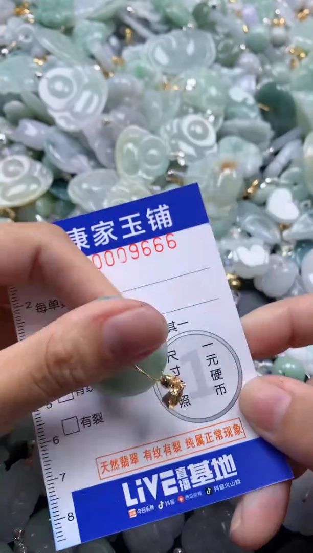 颈饰未镶嵌翡翠9666