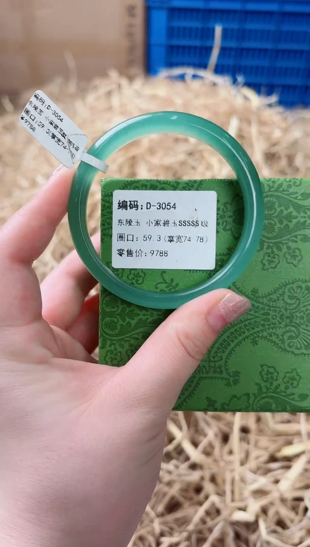 未镶嵌手镯石英质玉D-3054