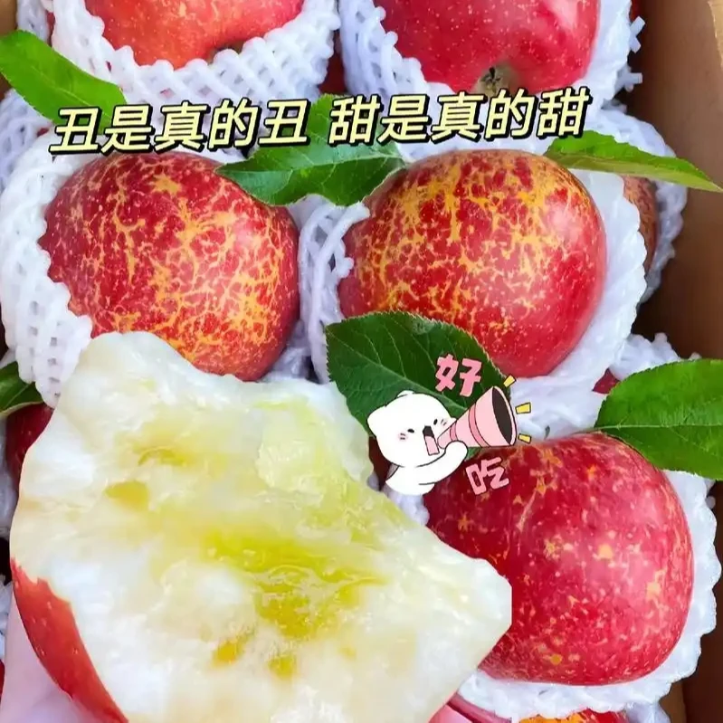 【云南精选大果】脆甜多汁新鲜正宗云南昭通丑苹产地直发