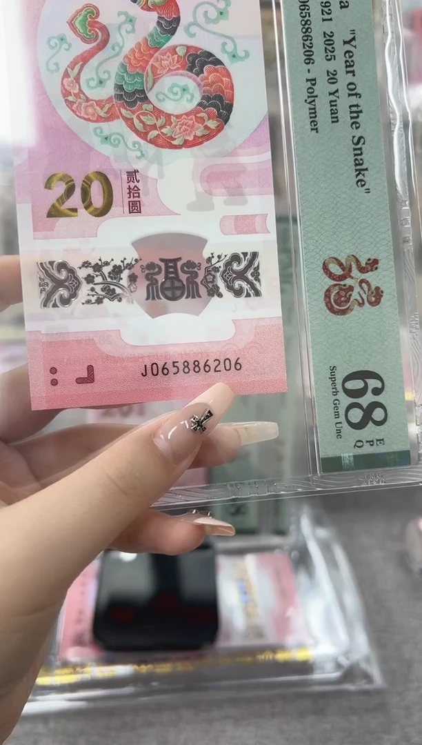塑料蛇钞J065886206PMG68
