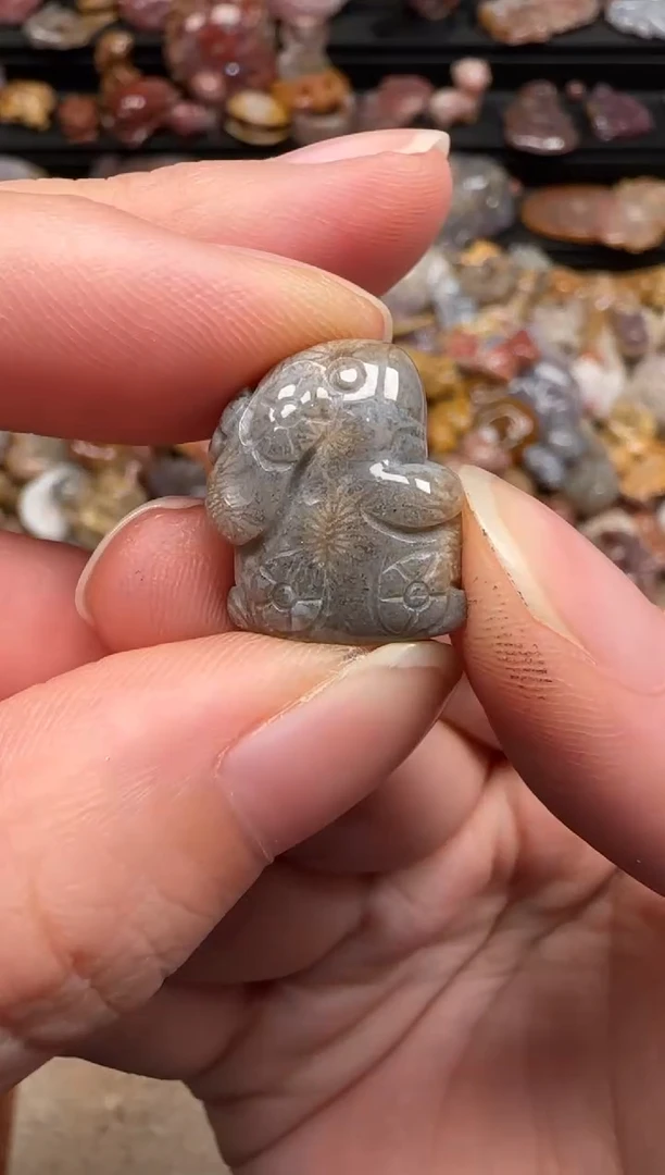 硅化珊瑚（珊瑚玉）未镶嵌颈饰475