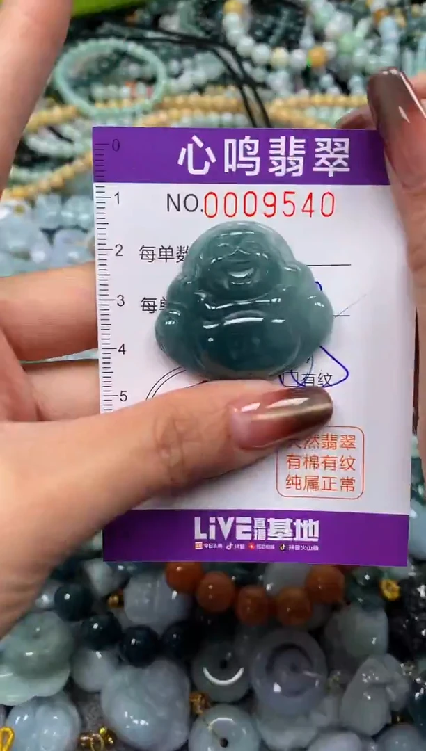 颈饰未镶嵌翡翠闪购009540