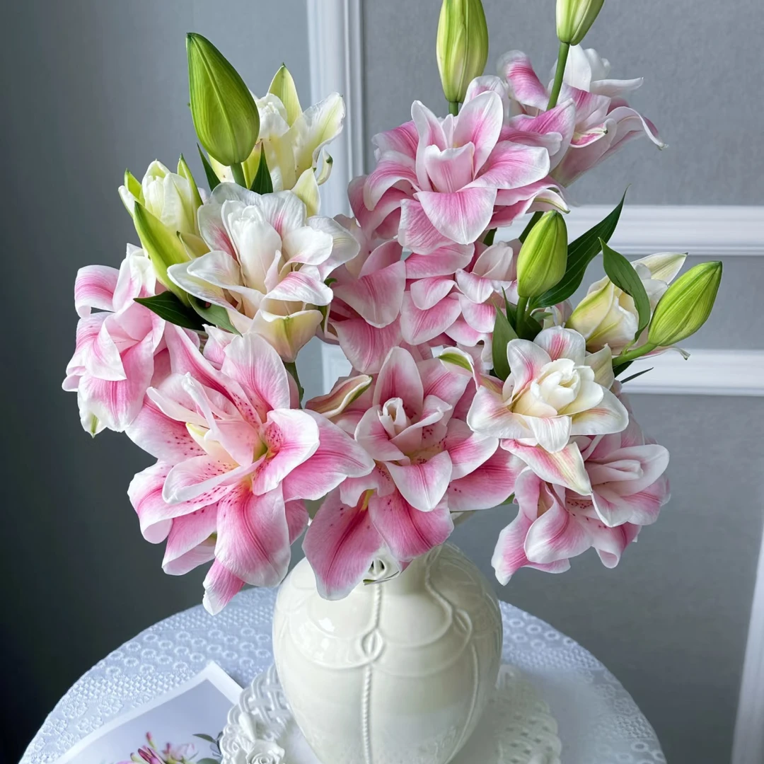 【云舍花卉】【皇宫】重瓣百合 全场任意满两单及以上鲜花包邮