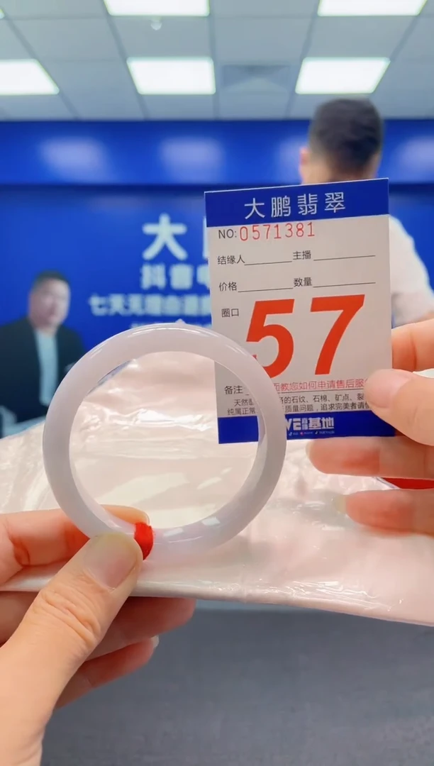 未镶嵌手镯翡翠AAAAAAAAA