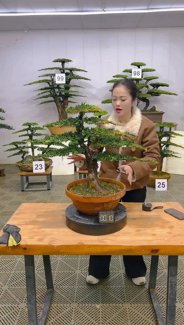 无花朵一物一拍一物一拍